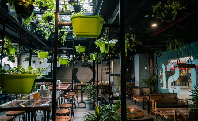 Why Solopreneurs Are Swapping Coffee Shops for Coworking Spaces